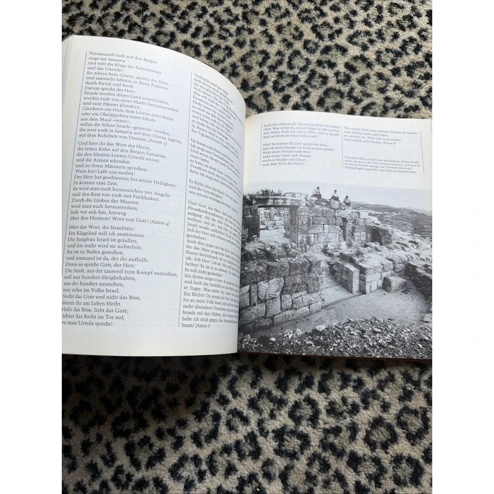 Jörg Zink 'Die Wahrheit lässt sich finden' book, published Verlag 1972 HB